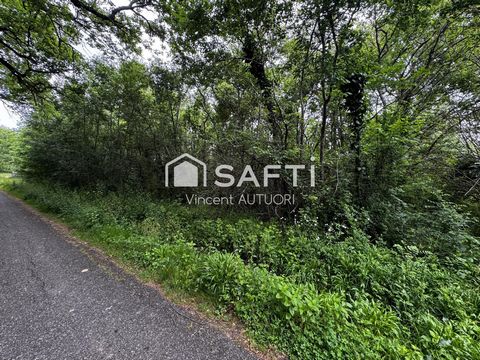 Terrain idéal investissement