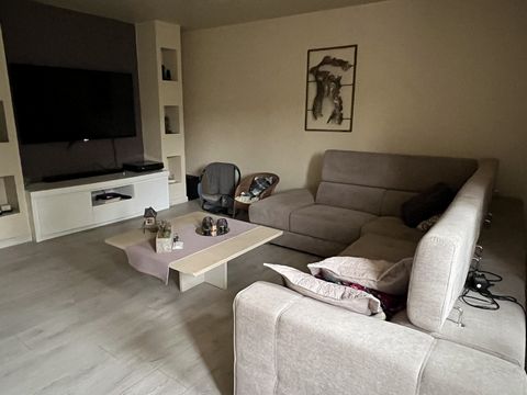 photo no. 11