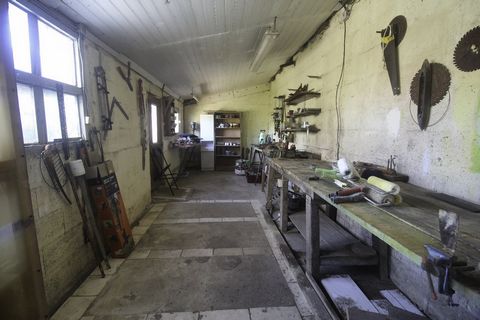 photo no. 14