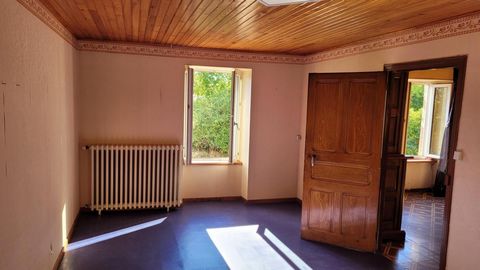 photo no. 4