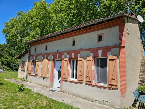 Toulousaine du XIXe siècle avec grand jardin