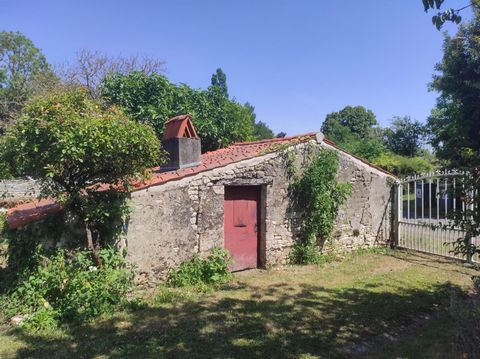 photo no. 2