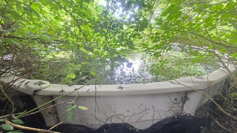 photo no. 15