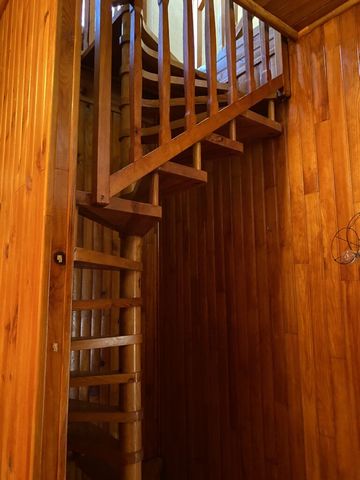 photo no. 18