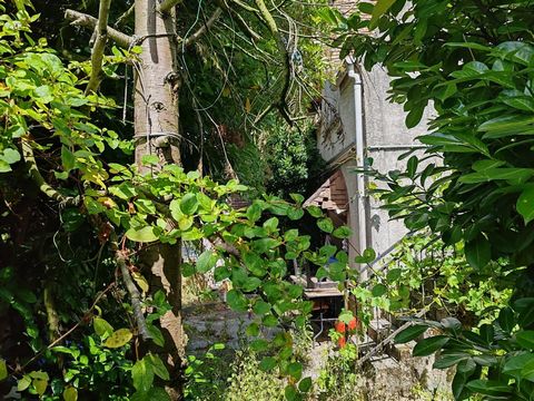 photo no. 10