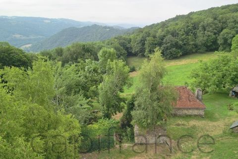 photo no. 2