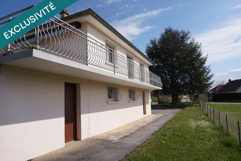photo no. 10