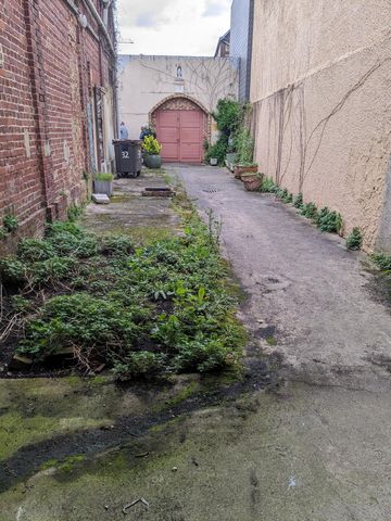 photo no. 6