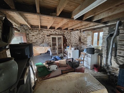 photo no. 19