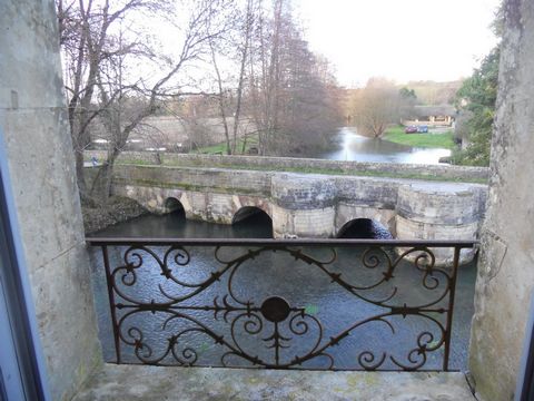photo no. 5