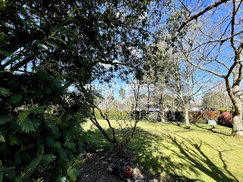 photo no. 10