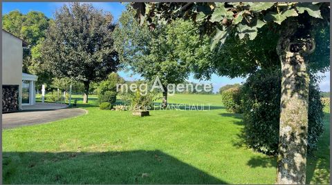 photo no. 12