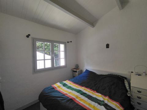 photo no. 9