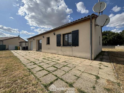photo no. 16