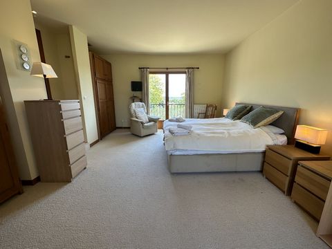 photo no. 17