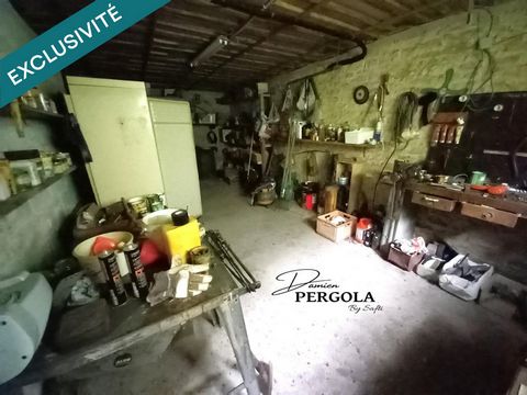 photo no. 9