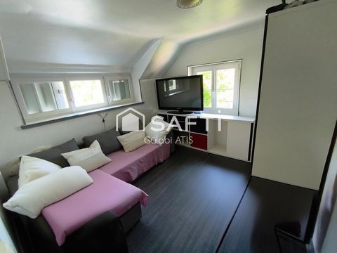 photo no. 10