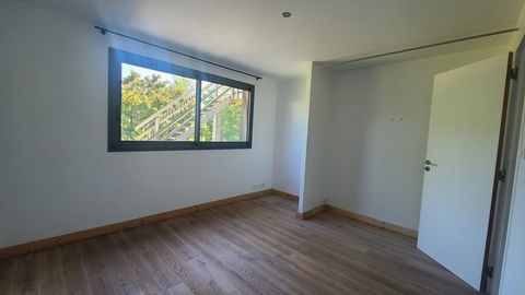 photo no. 11