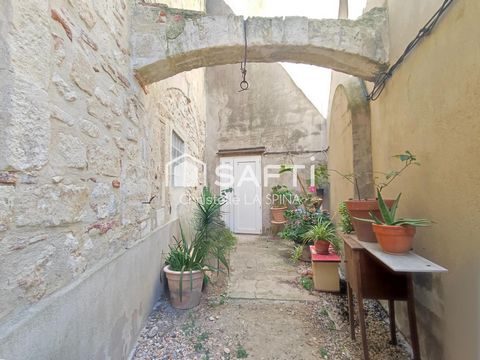 photo no. 12