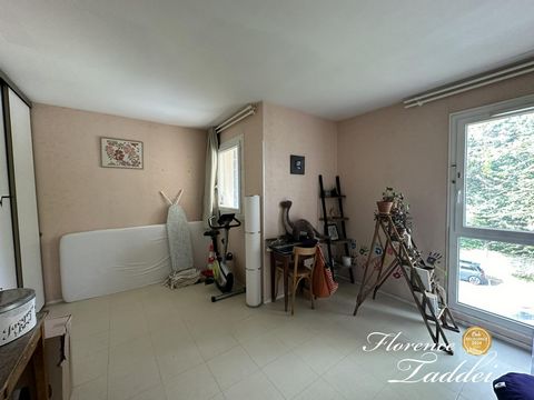 photo no. 8