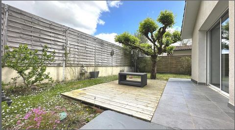 photo no. 11