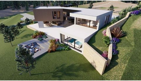 Découvrez l'incarnation du luxe dans cette villa unique, où chaque détail a été minutieusement pensé pour offrir un cadre de vie incomparable. Avec ses impressionnantes hauteurs sous plafond et son hall d'entrée majestueux, vous serez immédiatement c...