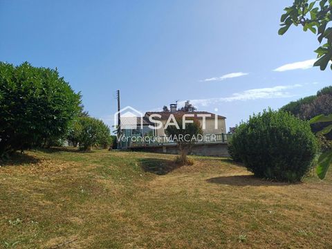photo no. 1