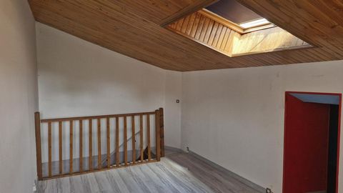 photo no. 13
