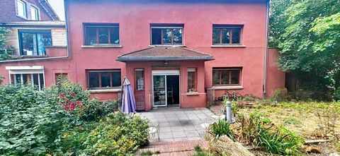 photo no. 13
