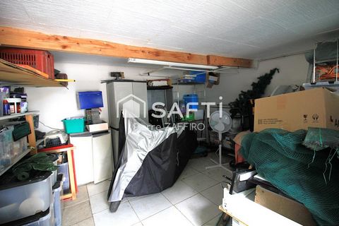 photo no. 11