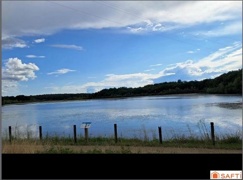 photo no. 17