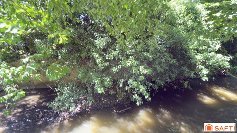 photo no. 10