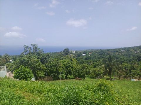 photo no. 1