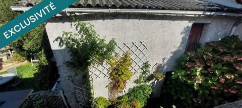 photo no. 7