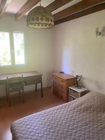 photo no. 13