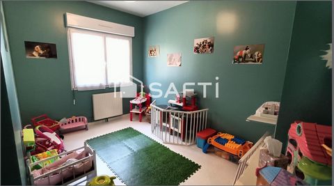 photo no. 11