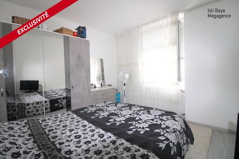 photo no. 7