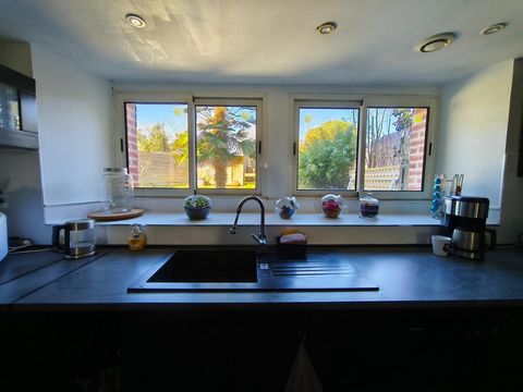 photo no. 5