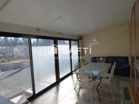 photo no. 11