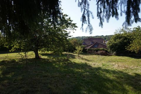 photo no. 4