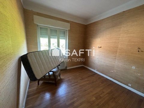 photo no. 11