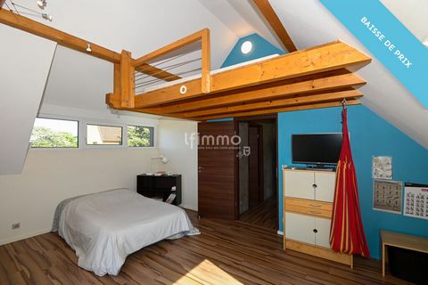 photo no. 11