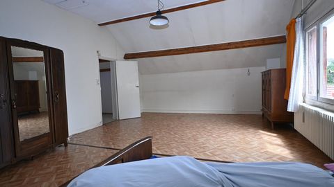 photo no. 6