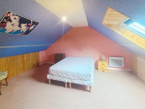 photo no. 8