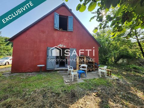 photo no. 13