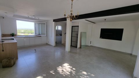 photo no. 2