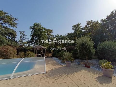 photo no. 13