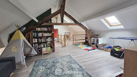 photo no. 13