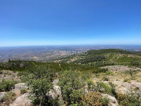 Land located in a quiet area of good access in Monchique, with excellent views of the coast, Portimão and lakes. It has a total area of 1153600sqm, south - west solar orientation, public water. It has feasibility of building a hotel unit. Good invest...