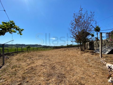 Land located in Fornelo, Vila do Conde. 500 meters from schools, church, football field of Fornelo, cafes. Situated 15 minutes from the center of Vila do Conde and 25 minutes from Porto. With 5,730m2 of land area. Possibility of construction of 4 vil...